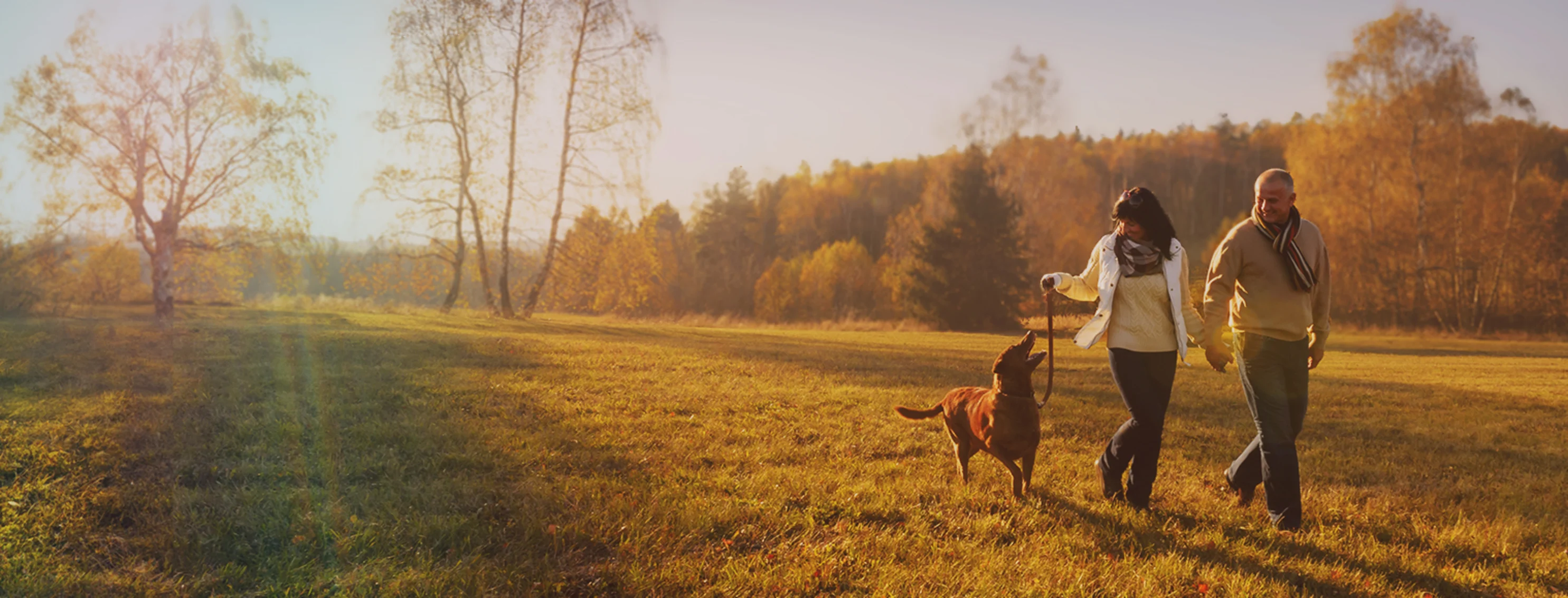 A couple walking their dog through an autumnal landscape